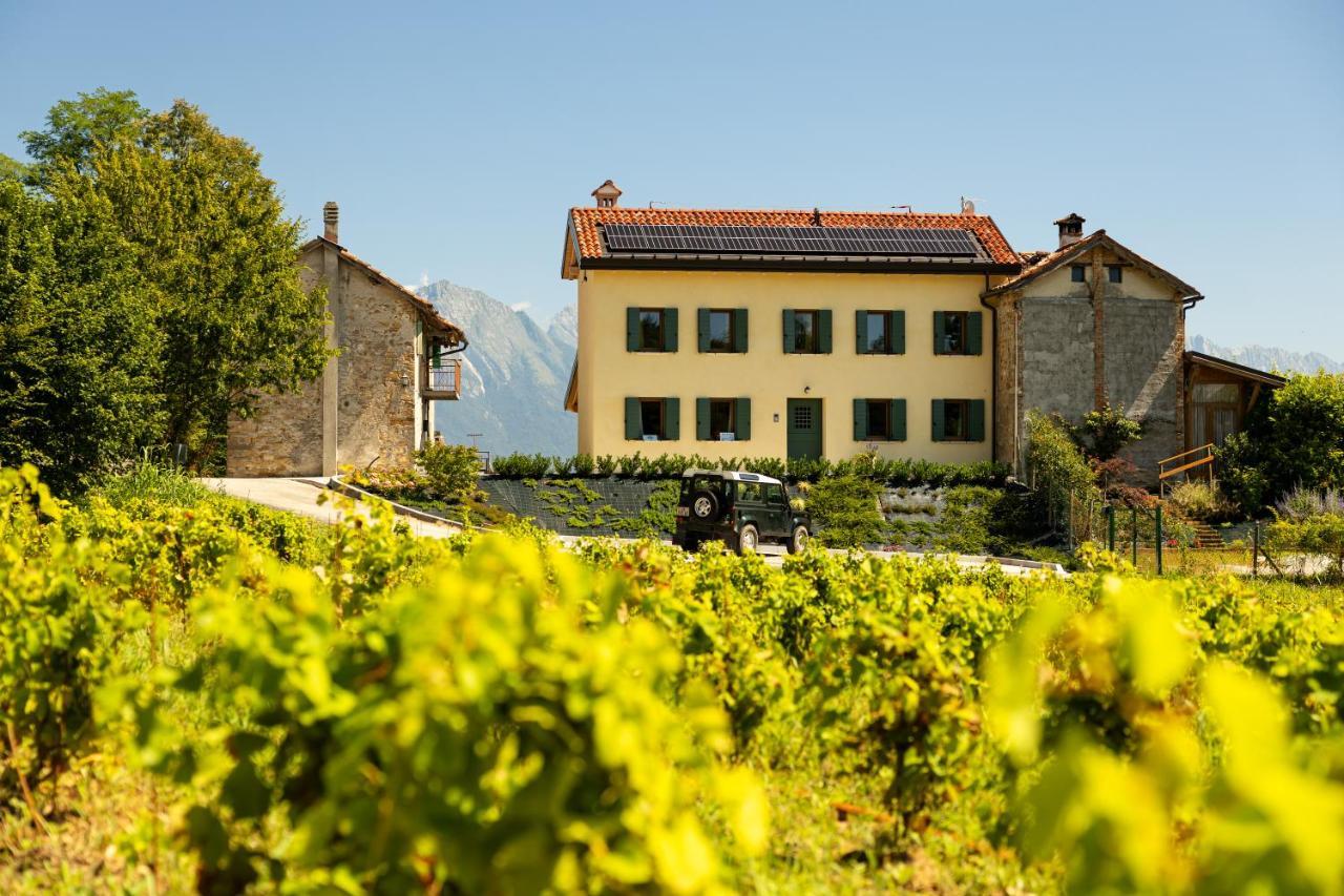 B&B Le Zucche Belluno Buitenkant foto